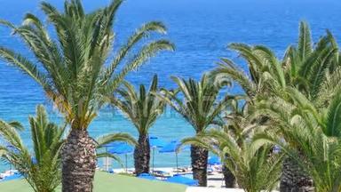 美丽的地中海海岸线，有<strong>风</strong>的棕榈树和<strong>清澈</strong>的蓝色海水欧洲